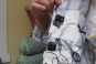 Shirt Cam