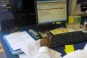 Service Advisor