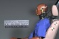 IIHS Crash Test - Sled Test Dummy
