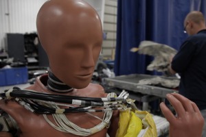 Crash-test dummy 