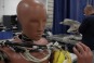 Crash-test dummy 