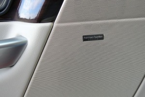 Door Speaker