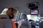 Affordable Audio Upgrades