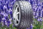 Lavender Scented Tires by Kumho