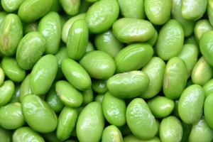 Soybeans Picture