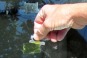 Getting Clear on Windshield Repair Kits