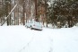Snow 2